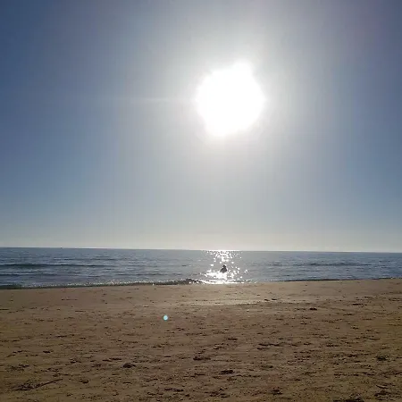 Апартаменты Vanessaholidayhome *